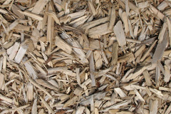 biomass boilers Easton Grey